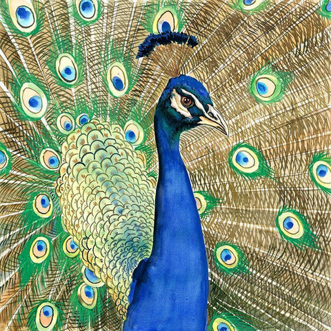 PEACOCK White Modern Wood Framed Art Print by Atelier B Art Studio