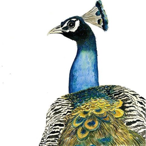 WATERCOLOR PEACOCK Gold Ornate Wood Framed Art Print with Double Matting by Atelier B Art Studio