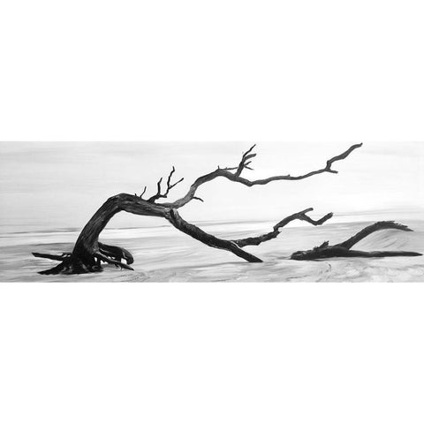 DEAD TREE IN THE MIDDLE OF WATER Black Modern Wood Framed Art Print with Double Matting by Atelier B Art Studio