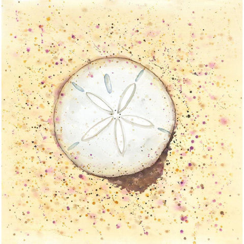 SAND-DOLLAR White Modern Wood Framed Art Print by Atelier B Art Studio