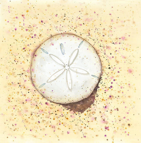 SAND-DOLLAR White Modern Wood Framed Art Print with Double Matting by Atelier B Art Studio