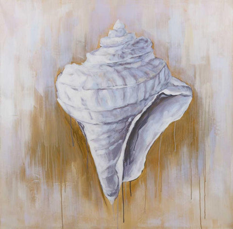 Conical Shell White Modern Wood Framed Art Print with Double Matting by Atelier B Art Studio