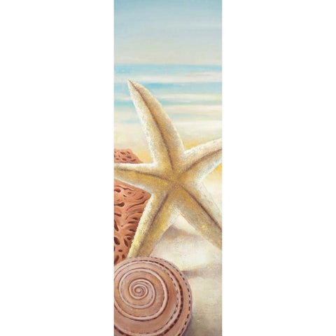 Starfish and Seashells at the Beach White Modern Wood Framed Art Print by Atelier B Art Studio