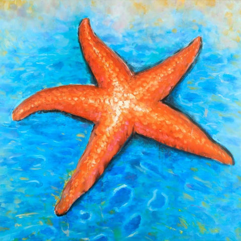 Vivid Starfish Black Modern Wood Framed Art Print with Double Matting by Atelier B Art Studio