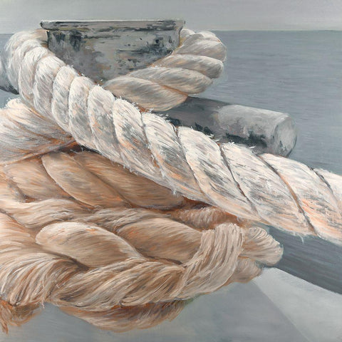 Tie-down ropes closeup Black Modern Wood Framed Art Print with Double Matting by Atelier B Art Studio