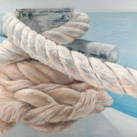 Tie-Down Ropes Closeup Black Modern Wood Framed Art Print with Double Matting by Atelier B Art Studio