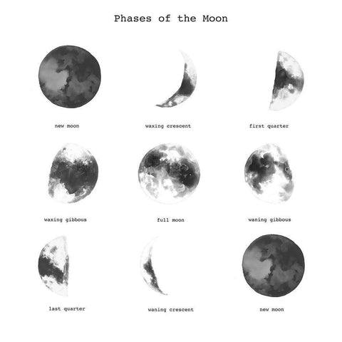 PHASES OF THE MOON Black Ornate Wood Framed Art Print with Double Matting by Atelier B Art Studio