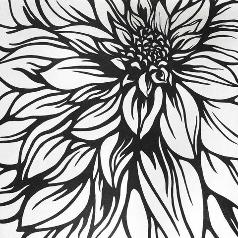 Dahlia Flower Outline Style Black Ornate Wood Framed Art Print with Double Matting by Atelier B Art Studio