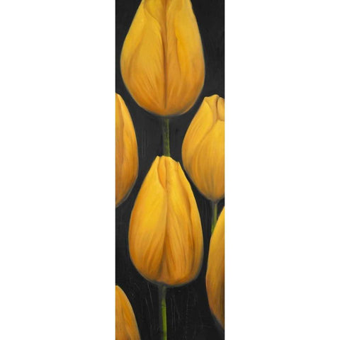 Six Daffodils Flowers Black Modern Wood Framed Art Print with Double Matting by Atelier B Art Studio