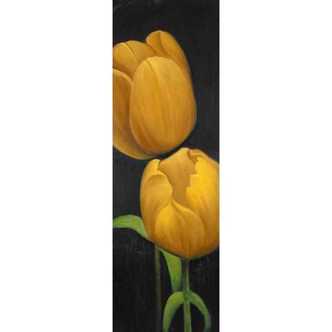 Two Daffodils Flowers White Modern Wood Framed Art Print by Atelier B Art Studio