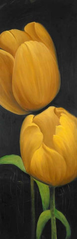 Two Daffodils Flowers Black Ornate Wood Framed Art Print with Double Matting by Atelier B Art Studio