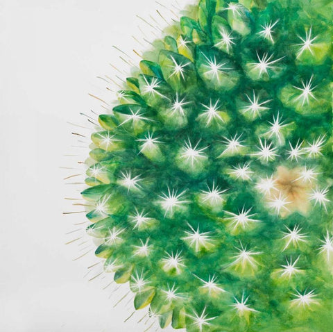 Watercolor Mini Cactus Black Ornate Wood Framed Art Print with Double Matting by Atelier B Art Studio