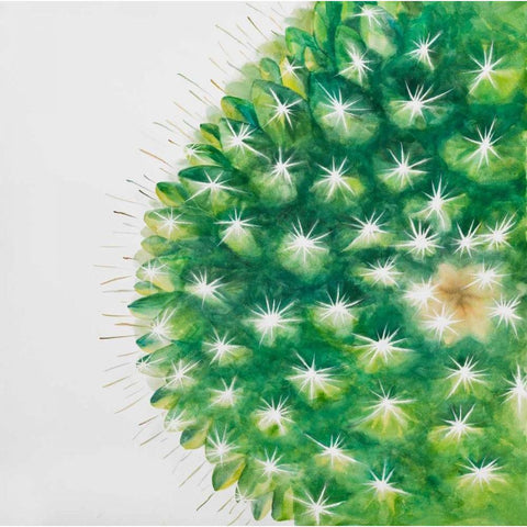 Watercolor Mini Cactus White Modern Wood Framed Art Print by Atelier B Art Studio