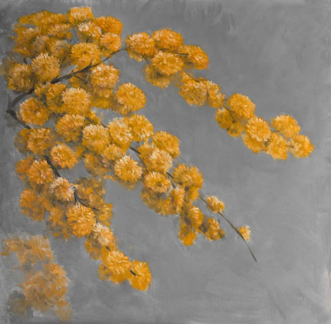 Golden Wattle Plant with Flowers Black Ornate Wood Framed Art Print with Double Matting by Atelier B Art Studio