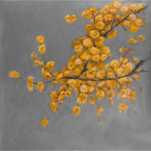 Golden Wattle Plant with Pugg Ball Flowers Black Modern Wood Framed Art Print with Double Matting by Atelier B Art Studio