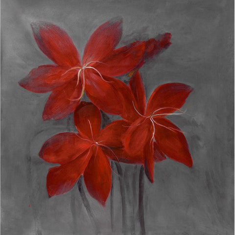 ASIATIC LILY Black Modern Wood Framed Art Print with Double Matting by Atelier B Art Studio