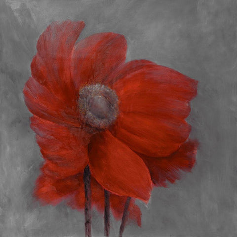 RED FLOWER IN THE WIND White Modern Wood Framed Art Print by Atelier B Art Studio