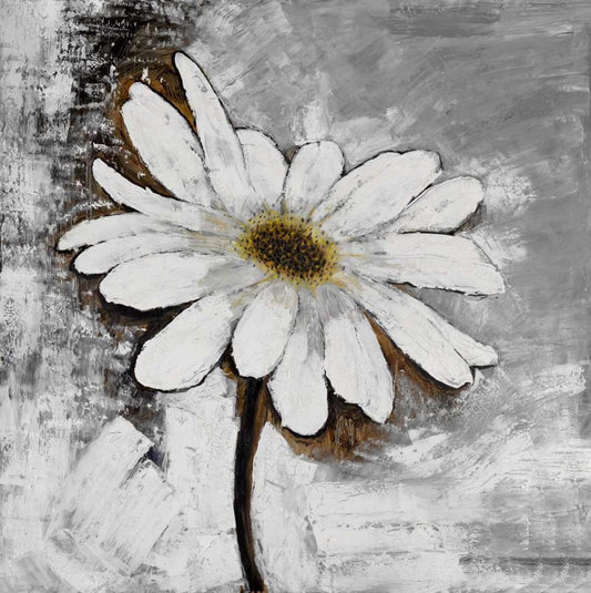 Image Only