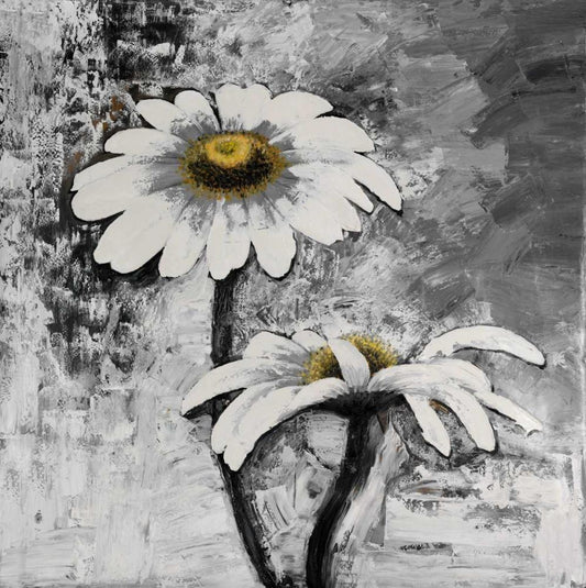 Image Only
