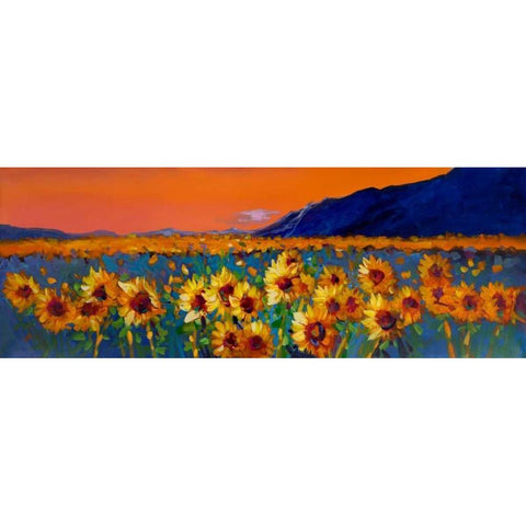 Sunflower Fields Black Modern Wood Framed Art Print with Double Matting by Atelier B Art Studio