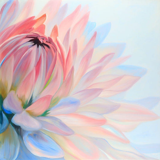 Image Only