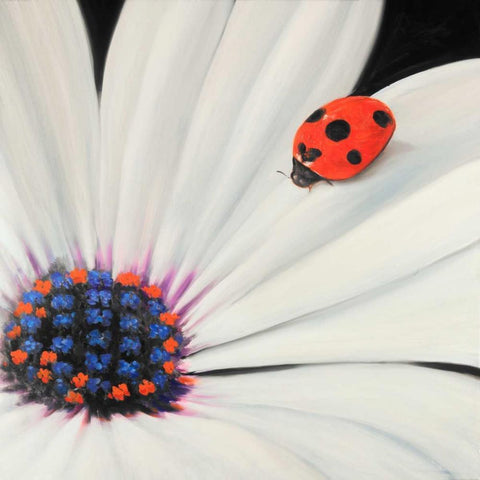 White Daisy and Ladybug White Modern Wood Framed Art Print with Double Matting by Atelier B Art Studio