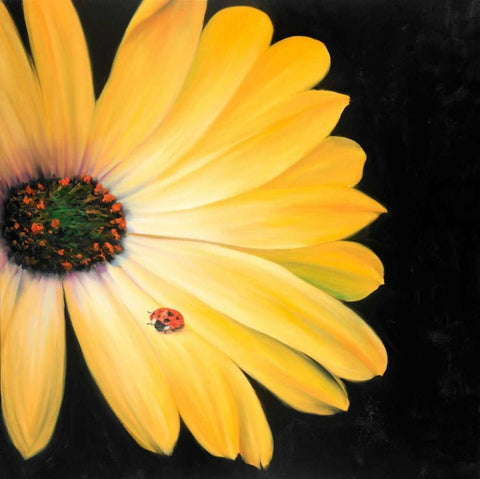 Yellow Daisy and Ladybug Black Ornate Wood Framed Art Print with Double Matting by Atelier B Art Studio