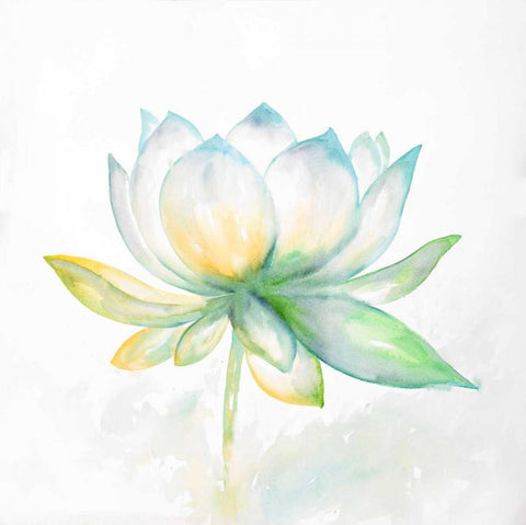 Lotus Flower White Modern Wood Framed Art Print with Double Matting by Atelier B Art Studio