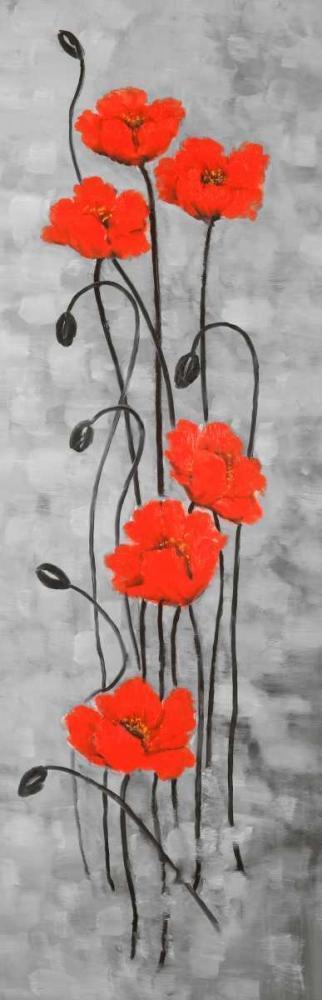 Image Only