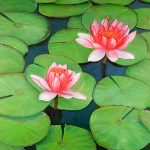 Lotus Flowers in a Swamp White Modern Wood Framed Art Print with Double Matting by Atelier B Art Studio