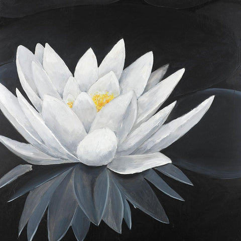 Lotus Flower with Reflection White Modern Wood Framed Art Print with Double Matting by Atelier B Art Studio