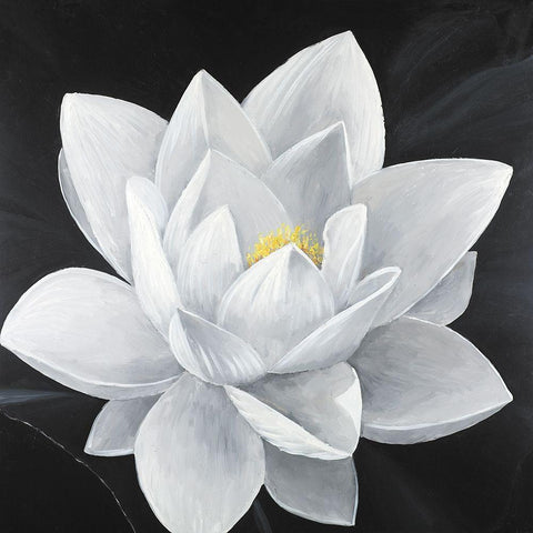 Overhead View of a Lotus Flower White Modern Wood Framed Art Print by Atelier B Art Studio