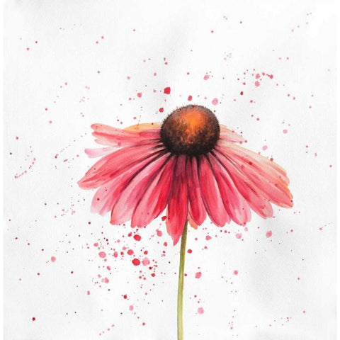 Red Daisy Black Modern Wood Framed Art Print by Atelier B Art Studio