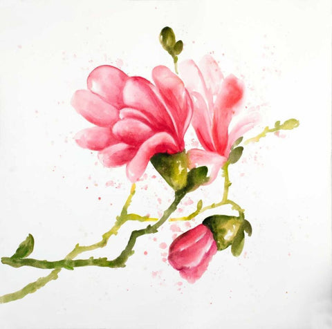 Magnolia Flowers Black Ornate Wood Framed Art Print with Double Matting by Atelier B Art Studio