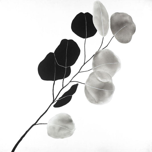 Image Only
