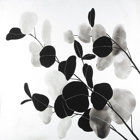 Image Only