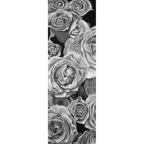 VINTAGE ROSES Black Modern Wood Framed Art Print with Double Matting by Atelier B Art Studio