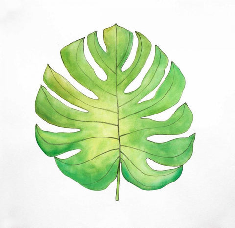 Tropical Leaf Greenery White Modern Wood Framed Art Print with Double Matting by Atelier B Art Studio