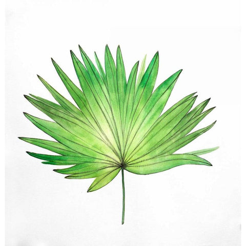 Fan Palm Leaf Black Modern Wood Framed Art Print by Atelier B Art Studio