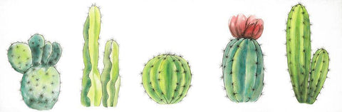 Tiny Cactus Set  White Modern Wood Framed Art Print with Double Matting by Atelier B Art Studio