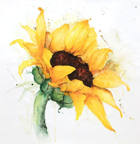 WATERCOLOR SUNFLOWER WITH PAINT SPLASH White Modern Wood Framed Art Print with Double Matting by Atelier B Art Studio