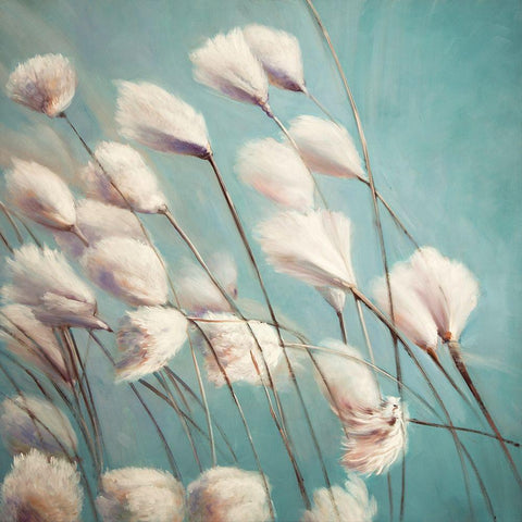 COTTON GRASS FLOWERS IN THE WIND Black Modern Wood Framed Art Print with Double Matting by Atelier B Art Studio