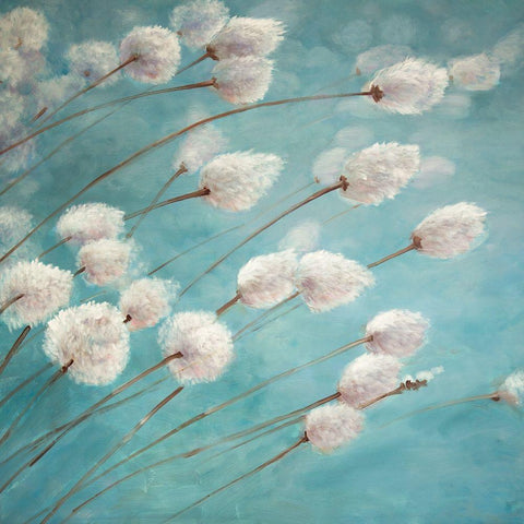 COTTON GRASS PLANTS IN THE WIND White Modern Wood Framed Art Print with Double Matting by Atelier B Art Studio