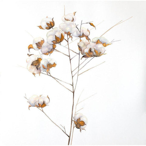 Cotton Flowers Branch White Modern Wood Framed Art Print by Atelier B Art Studio