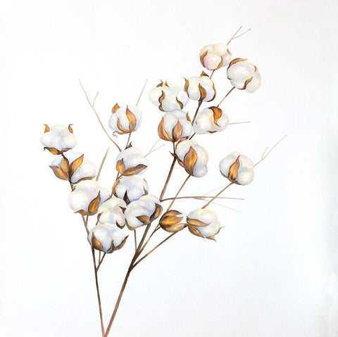 A Branch of Cotton Flowers White Modern Wood Framed Art Print with Double Matting by Atelier B Art Studio