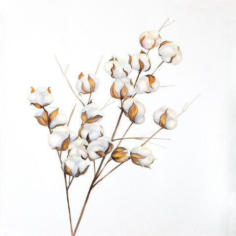 A Branch of Cotton Flowers White Modern Wood Framed Art Print by Atelier B Art Studio