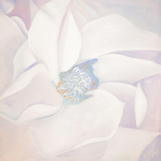 Image Only