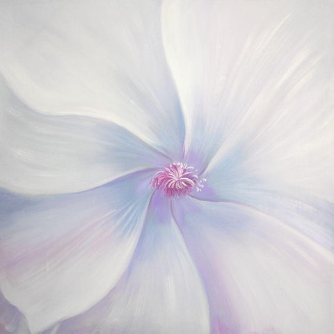 PETALS Black Modern Wood Framed Art Print with Double Matting by Atelier B Art Studio