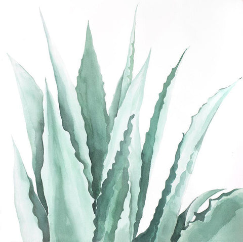 Watercolor Agave Plant Black Ornate Wood Framed Art Print with Double Matting by Atelier B Art Studio