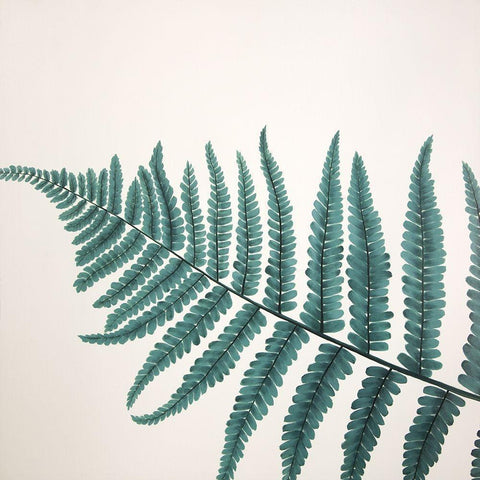 BEAUTIFUL FERN White Modern Wood Framed Art Print by Atelier B Art Studio